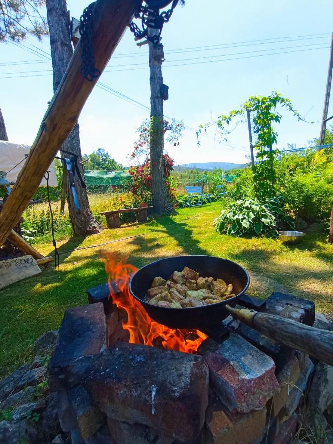 Dom Na Przedgorzu-Apartamenty Z Widokiem Na Gory Świeradów-Zdrój Exterior foto
