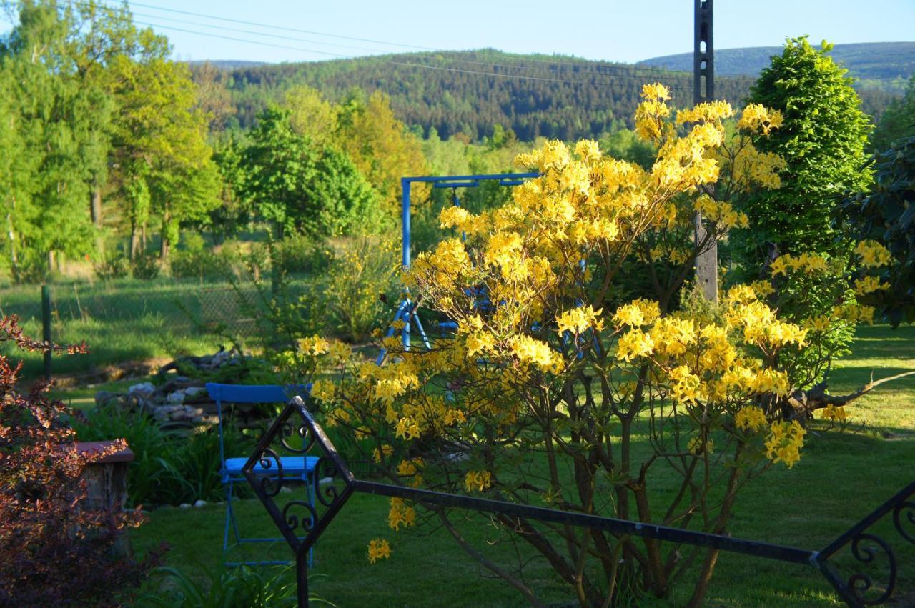 Dom Na Przedgorzu-Apartamenty Z Widokiem Na Gory Świeradów-Zdrój Exterior foto
